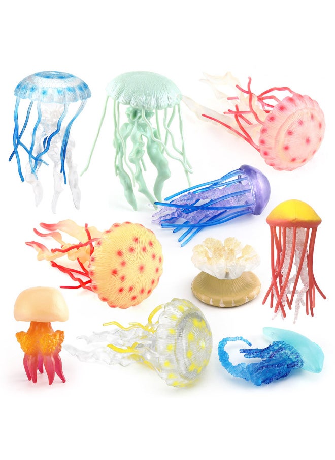 Children's Simulation Marine Seabed Biology Jellyfish Jellyfish Animal Model Static Hand-made Decorative Ornaments Toy-Color:T15687 Aquatic Tiger Shrimp 103g