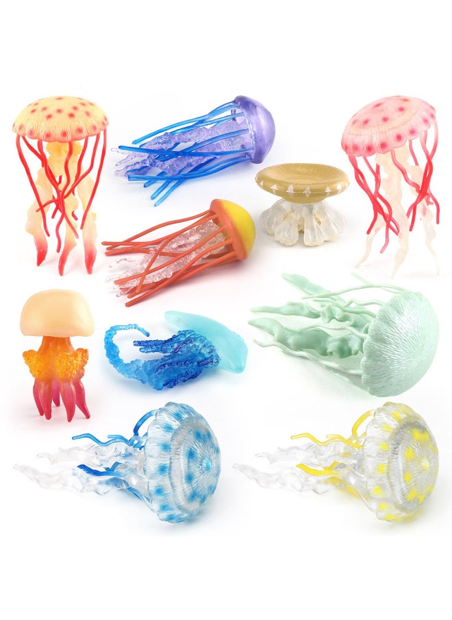 Children's Simulation Marine Seabed Biology Jellyfish Jellyfish Animal Model Static Hand-made Decorative Ornaments Toy-Color:T15687 Aquatic Tiger Shrimp 103g