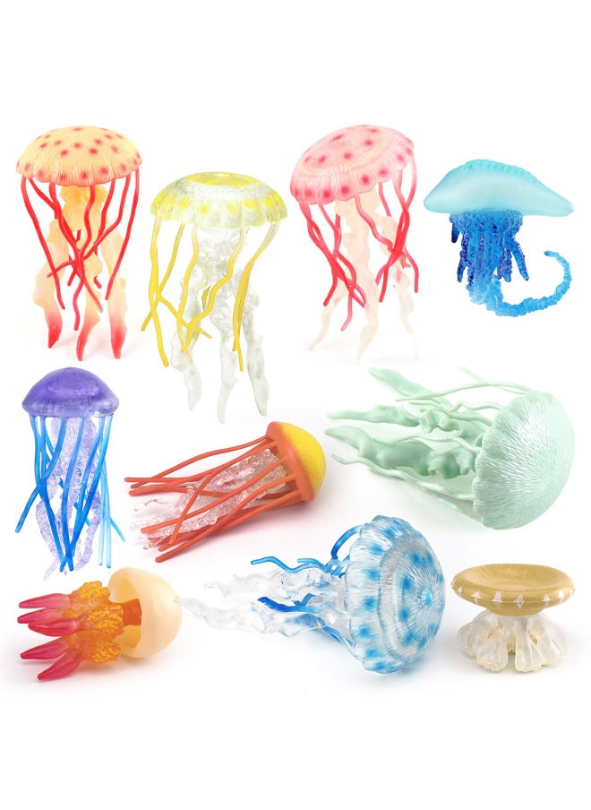 Children's Simulation Marine Seabed Biology Jellyfish Jellyfish Animal Model Static Hand-made Decorative Ornaments Toy-Color:T15687 Aquatic Tiger Shrimp 103g