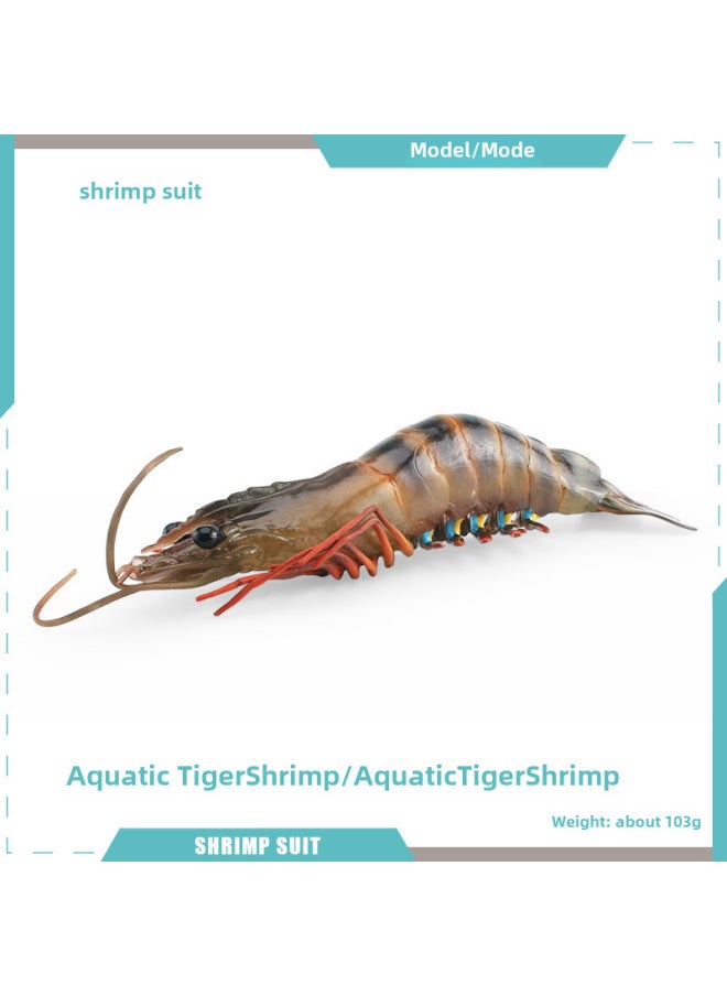 Children's Simulation Marine Seabed Biology Jellyfish Jellyfish Animal Model Static Hand-made Decorative Ornaments Toy-Color:T15687 Aquatic Tiger Shrimp 103g