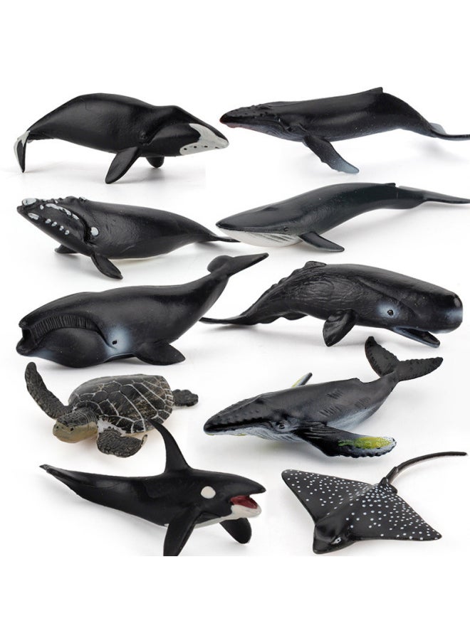 Simulation Children's Marine Animal Model Mini Whale Shark Dolphin Turtle Sea Lion Solid Static Hand-made Ornaments-Color:BL-5298 Minke Whale 8g