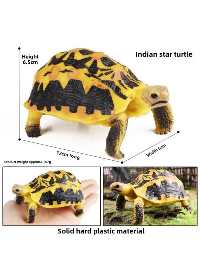 Simulation Cognitive Shark Marine Life Model Great White Shark Megalodon Squid Blue Whale Killer Shark Crab Animal Toy-Color:S603 Indian Star Tortoise (Black)