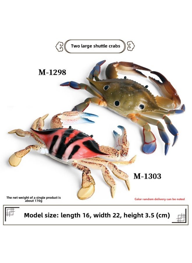 Simulation Cognitive Shark Marine Life Model Great White Shark Megalodon Squid Blue Whale Killer Shark Crab Animal Toy-Color:Three Crab/Safflower Crab (2 Color Random Hair 1)