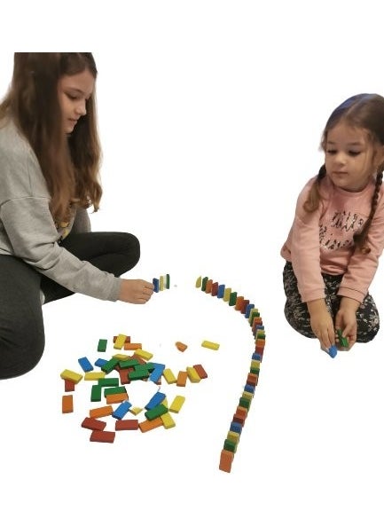 Wooden 100 Piece Domino Set