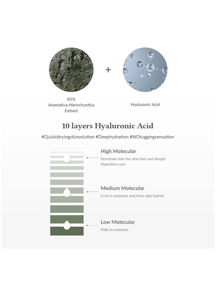 Dr.Althea Anastatica Skin Conditioning Toner & CICA Skin Calming Toner - 85%, Hydrating, Lightweight, Vegan (Rose of Jericho)