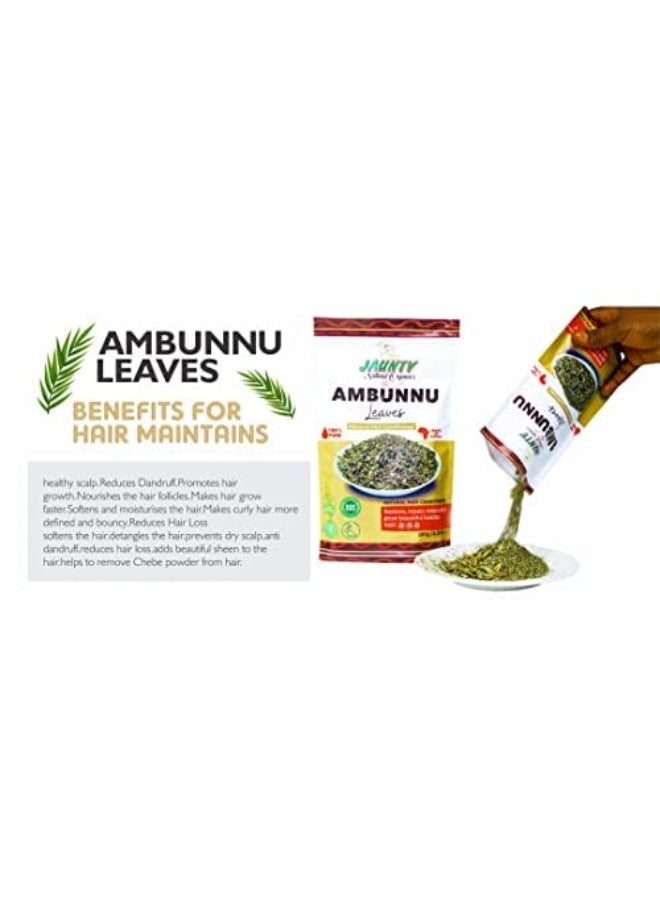 Jaunty Organics Natural Ambunnu Leaves | Herbal Hair Growth and Repair Shampoo , Conditioner & Detangler | Promotes Longer and Thicker Hair (Leaves)