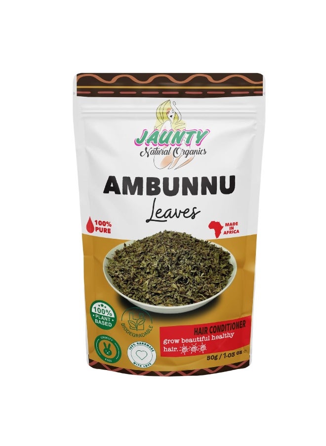 Jaunty Organics Natural Ambunnu Leaves | Herbal Hair Growth and Repair Shampoo , Conditioner & Detangler | Promotes Longer and Thicker Hair (Leaves)