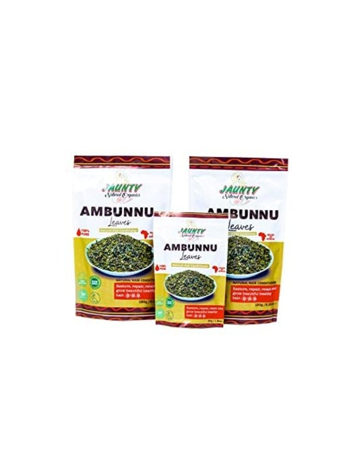 Jaunty Organics Natural Ambunnu Leaves | Herbal Hair Growth and Repair Shampoo , Conditioner & Detangler | Promotes Longer and Thicker Hair (Leaves)