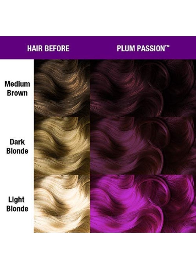 Classic Plum Passion Semi Permanent Hair Color - Warm Purple Hair Dye for Women & Men That Lasts 4-6 Weeks - Vegan, Ammonia & Cruelty-Free - Create & Mix Custom Shades (4oz)
