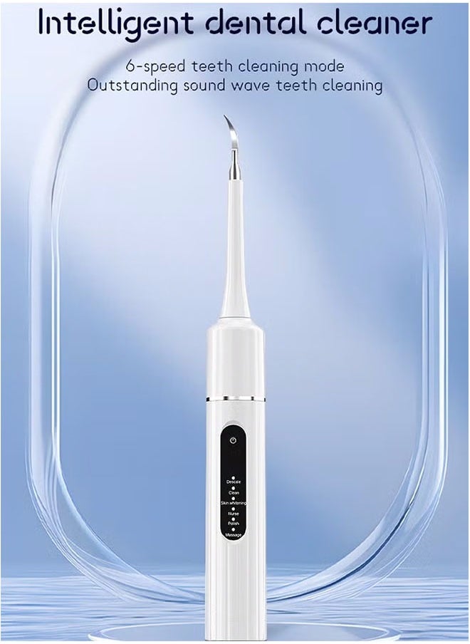 Electric Toothbrush with Water Flosser, 6 modes Teeth Cleaning Kit, One Switch from Sonic Brushing to Water Flossing for Home Travel (White)