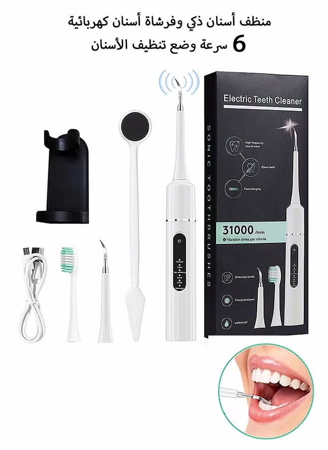 Electric Toothbrush with Water Flosser, 6 modes Teeth Cleaning Kit, One Switch from Sonic Brushing to Water Flossing for Home Travel (White)