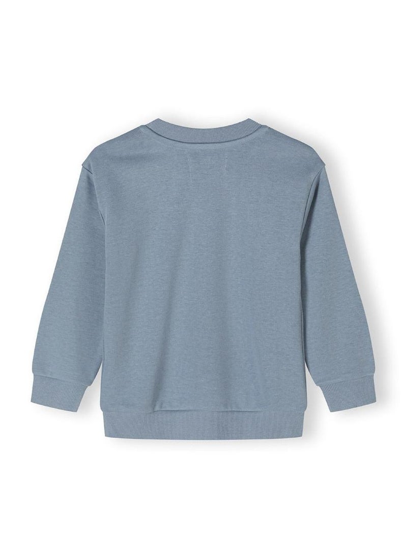 Kids Boys  Crew Neck Sweatshirt With Kangaroo Pocket
