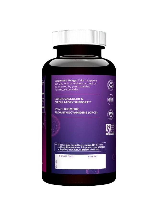 Nutrition Grape Seed Extract | Circulation | Antioxidants | Anti-agning | Gluten Free + Vegan | 100 Servings