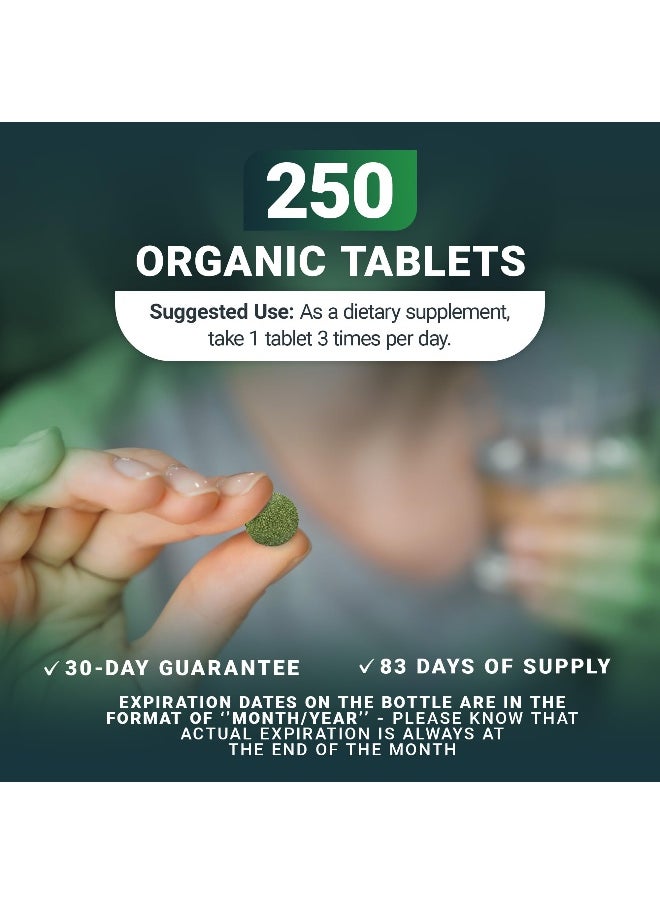 Dr. Berg's Greens Superfood Cruciferous Vegetable Tablets - Vegetable Supplements for Adults w/ 11 Phytonutrient Super Greens Tablets - Energy, Immune System & Liver Veggie Tablets - 250 Tablets