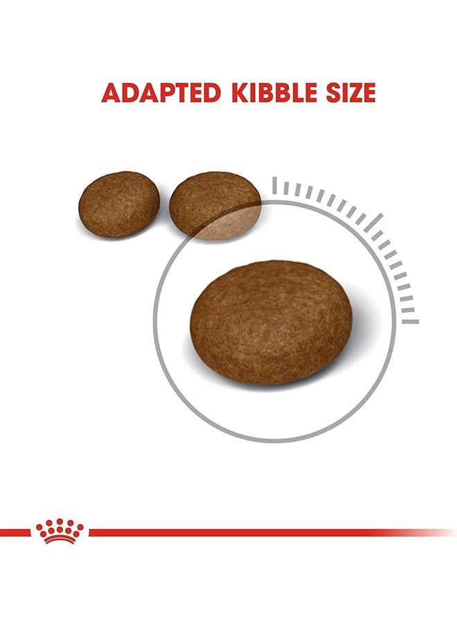 Feline Care Nutrition Hair And Skin Cat Dry Food