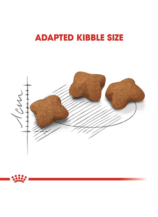 Feline Health Nutrition Kitten Sterilised