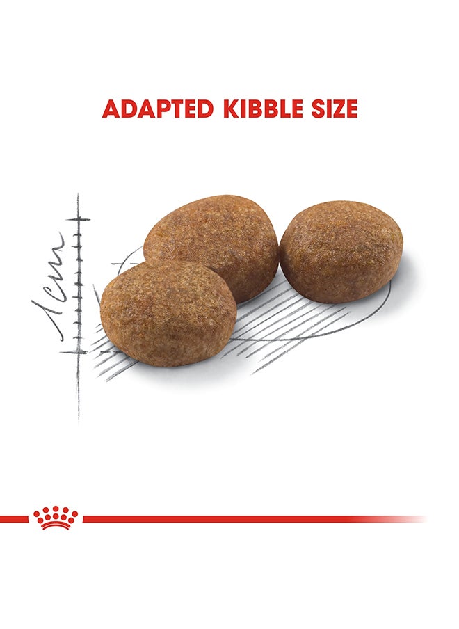 Feline Health Nutrition Kitten Sterilised Dry Food