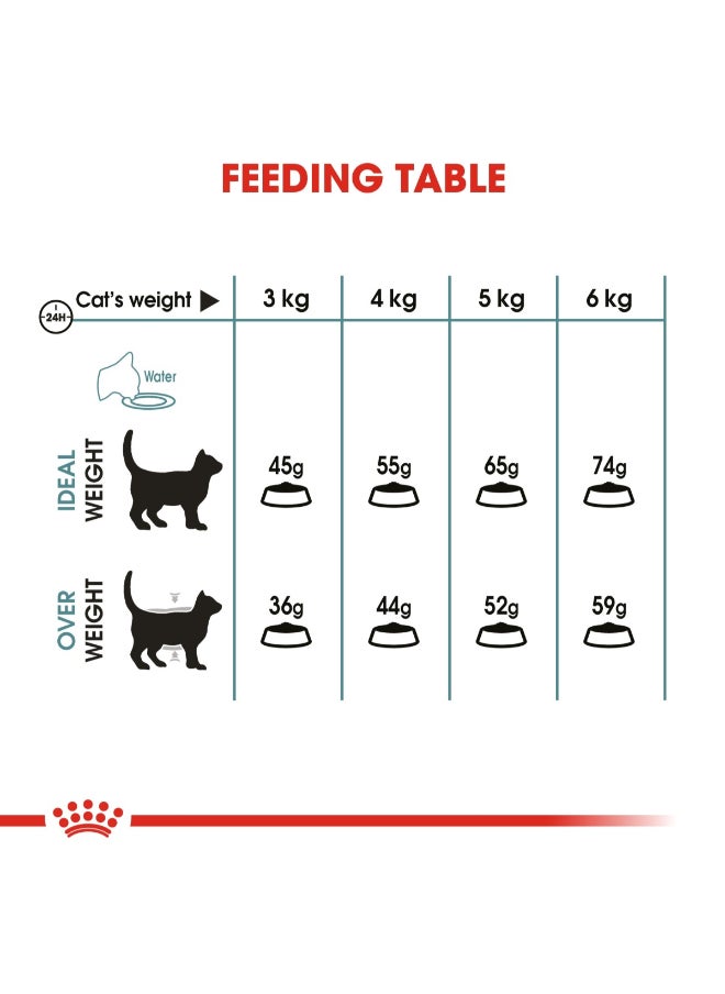 Feline Care Nutrition Hairball