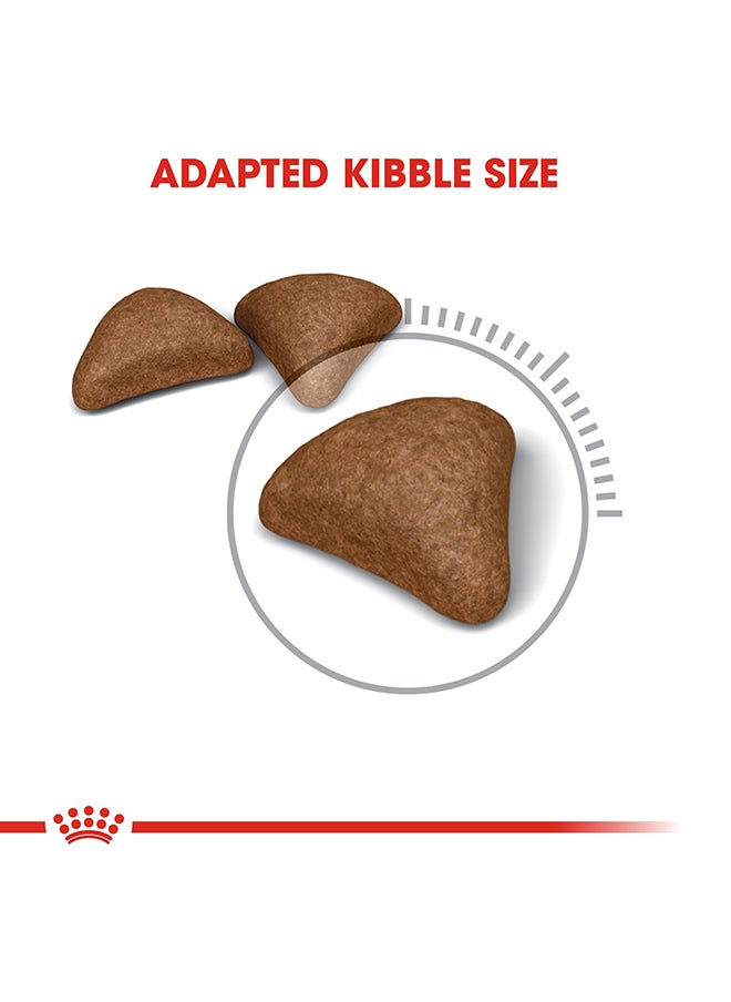 Feline Care Nutrition Hairball
