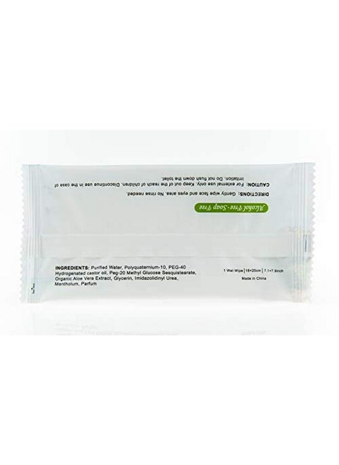 TRAVELWELL Makeup Remover Wipes Bulk, Individually Wrapped Natural Fresh Aloe Travel Packs Elderly Bathing Cleansing Wipes - 500 Count per Package | Travel Size Toiletries | Hotel Toiletries Bulk Set