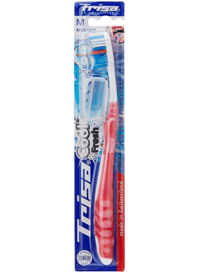 Trisa Cool Fresh Medium Toothbrush with Hygiene Box (Assorted Color)