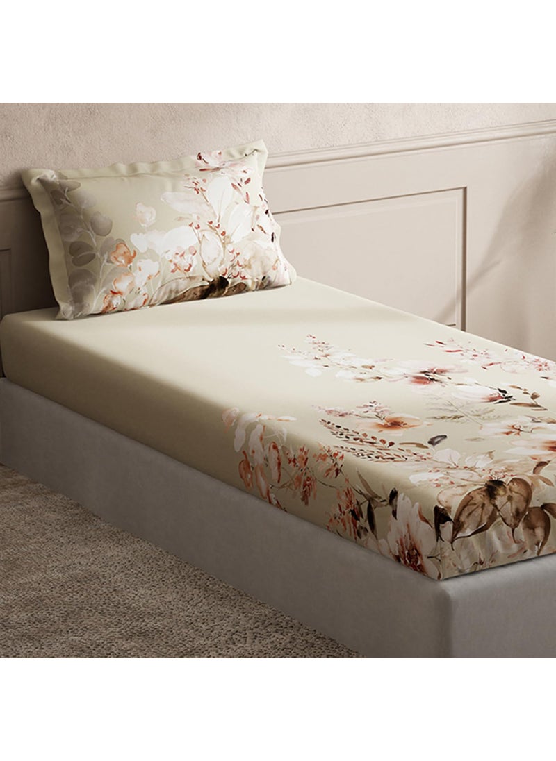 DDecor Pack of 1 Cotton Single 150 TC Bedsheet with 1 Pillow Cover Beige