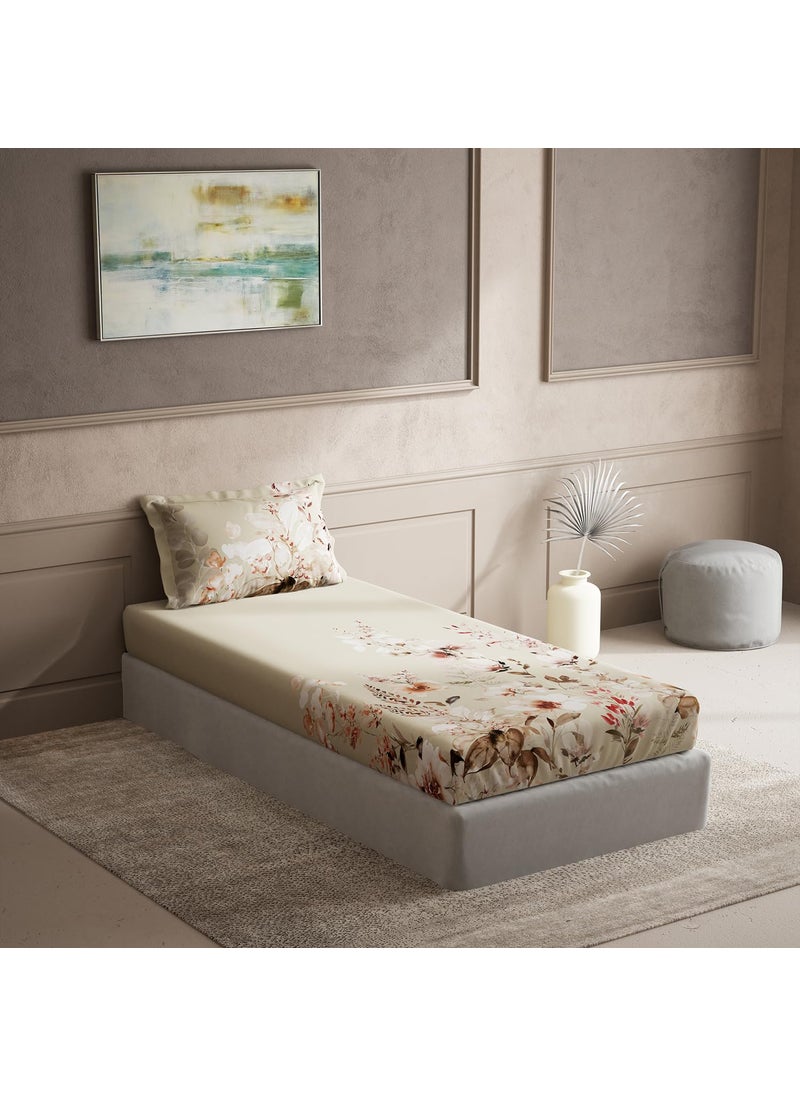 DDecor Pack of 1 Cotton Single 150 TC Bedsheet with 1 Pillow Cover Beige