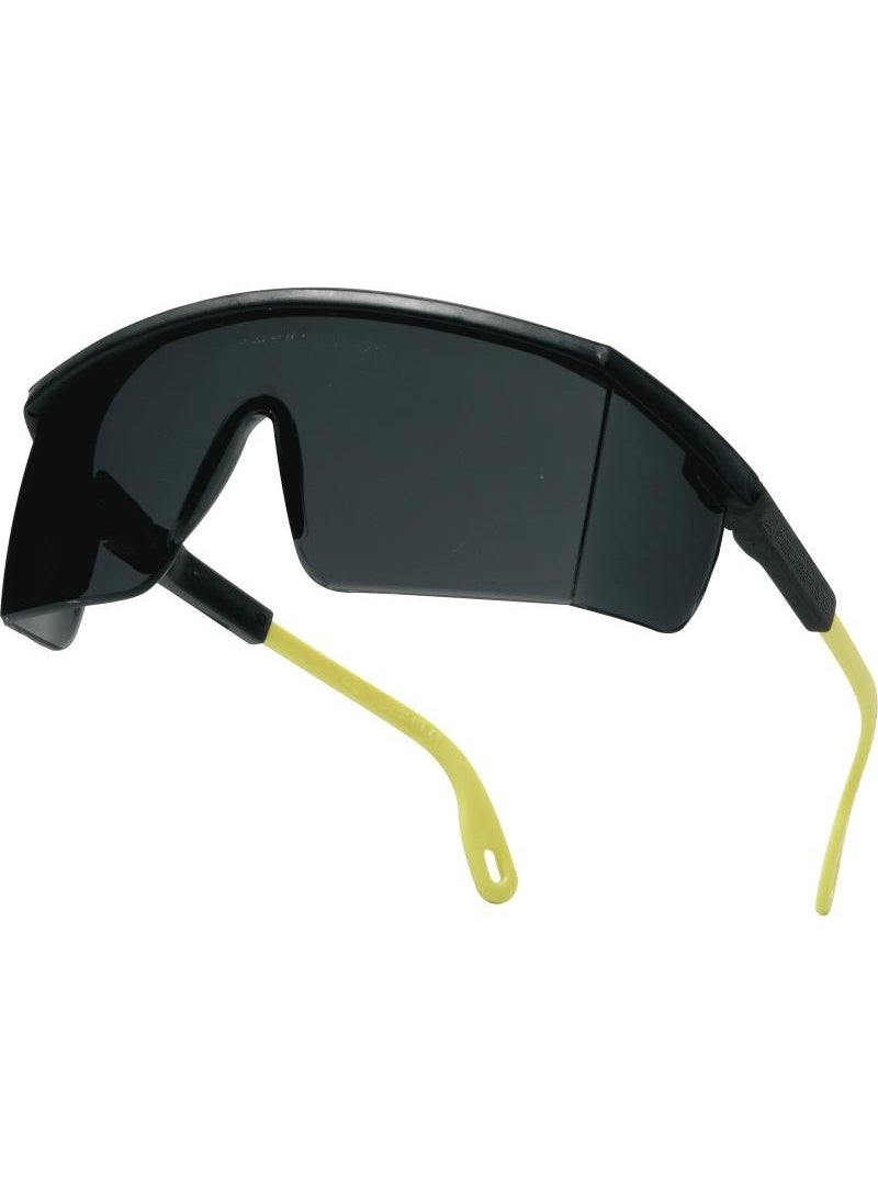 Delta Plus Kılımandjaro Smoke Polycarbonate Work Safety Glasses