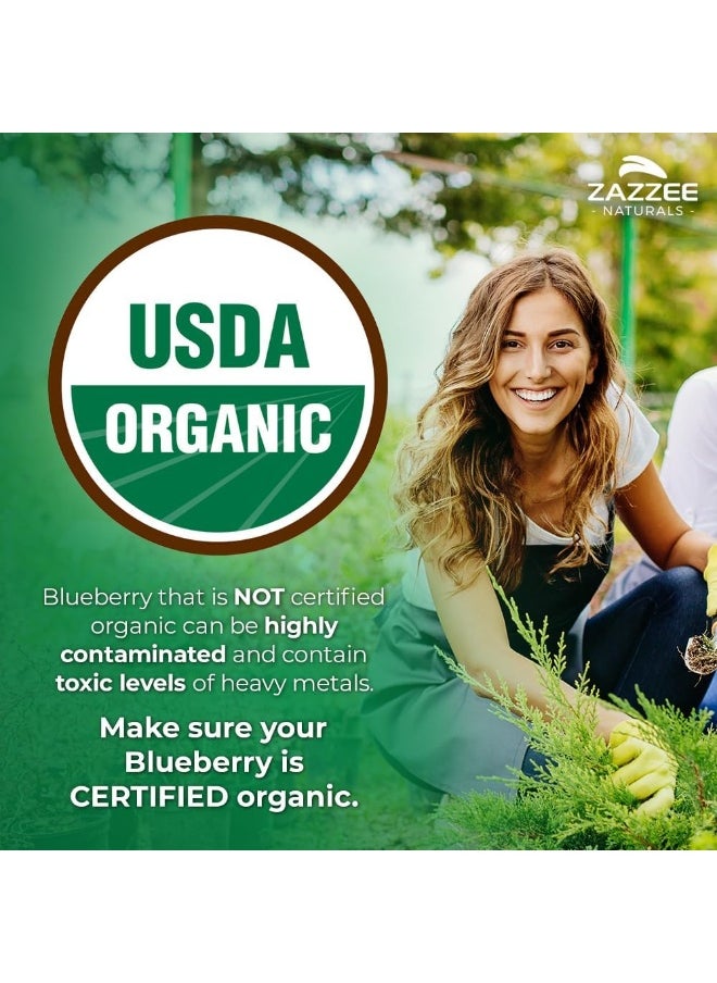 Whole Fruit Blueberry Extract 5000 mg Strength 120 Veggie Capsules Potent 10:1 Extract 4 Month Supply Vegan All Natural and Non GMO
