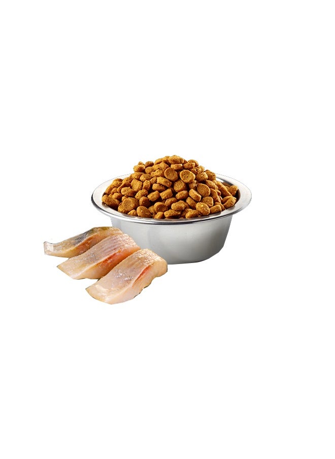 ND Pumpkin And Pomegranate Neutered Cat Food - 1.5 KG