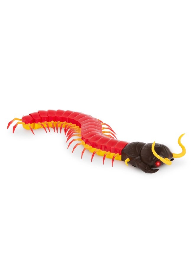 Terra RC Centipede: Giant Scolopendra