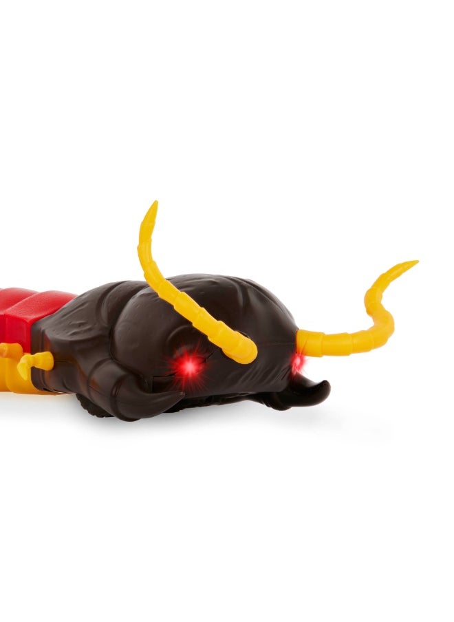 Terra RC Centipede: Giant Scolopendra