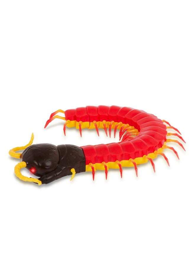 Terra RC Centipede: Giant Scolopendra
