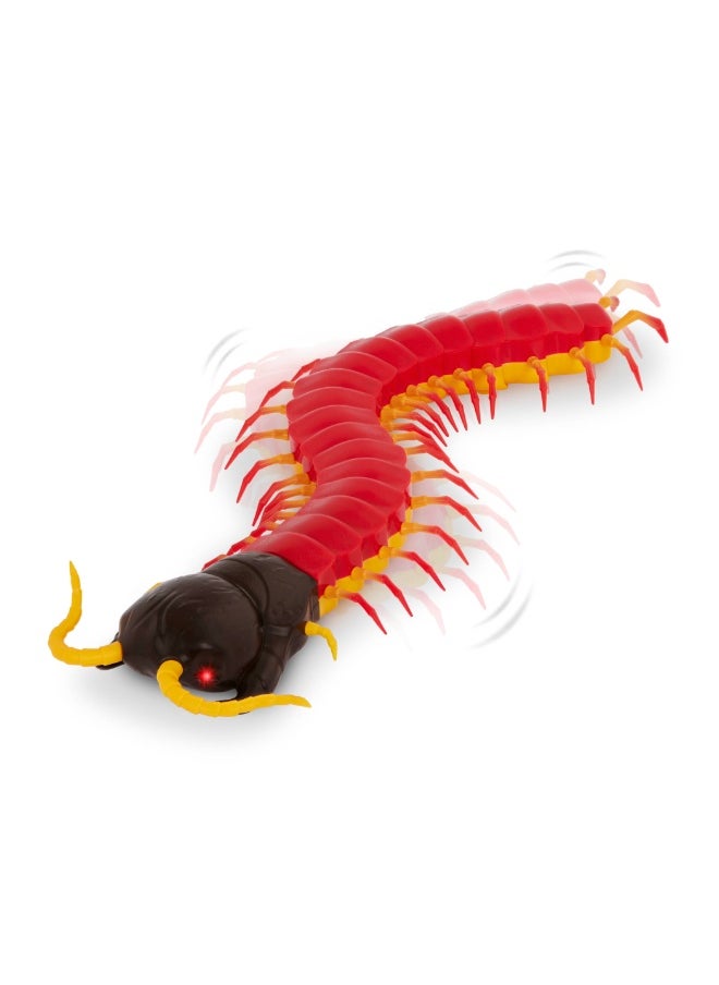 Terra RC Centipede: Giant Scolopendra
