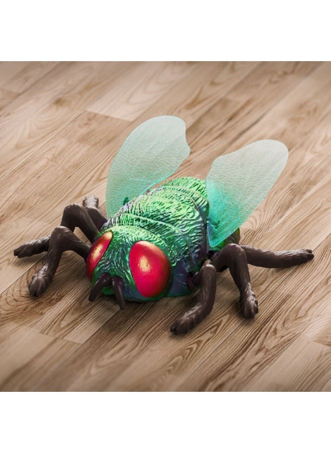 Terra RC Climbing Fly