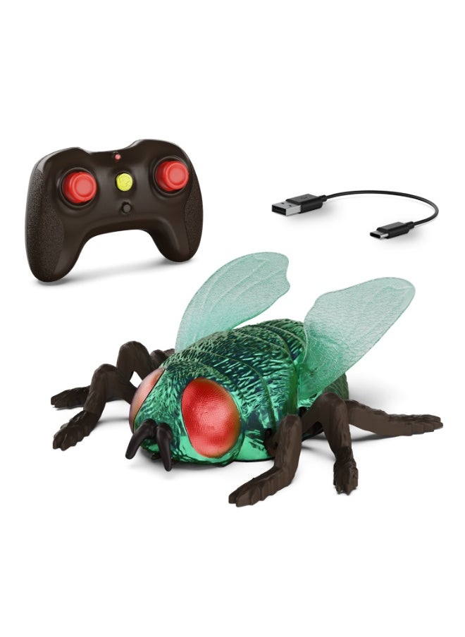 Terra RC Climbing Fly
