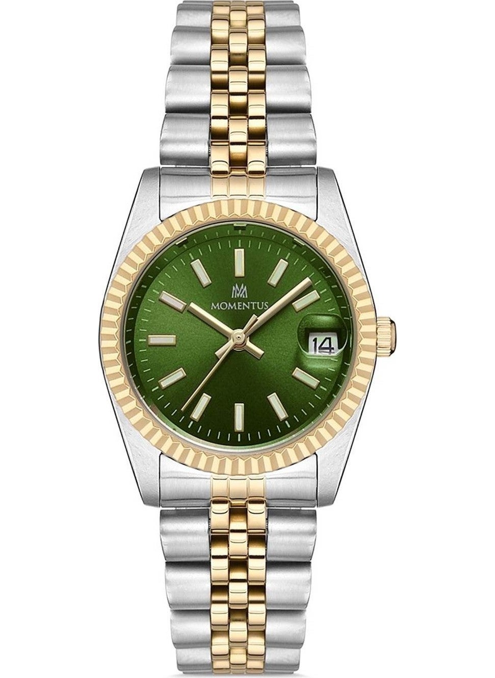 CW132T-15SG Wristwatch