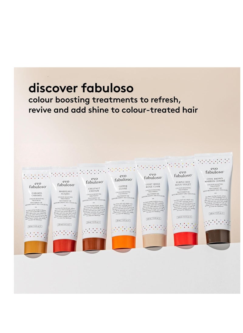 Evo Fabuloso  chestnut colour boosting treatment 220mll