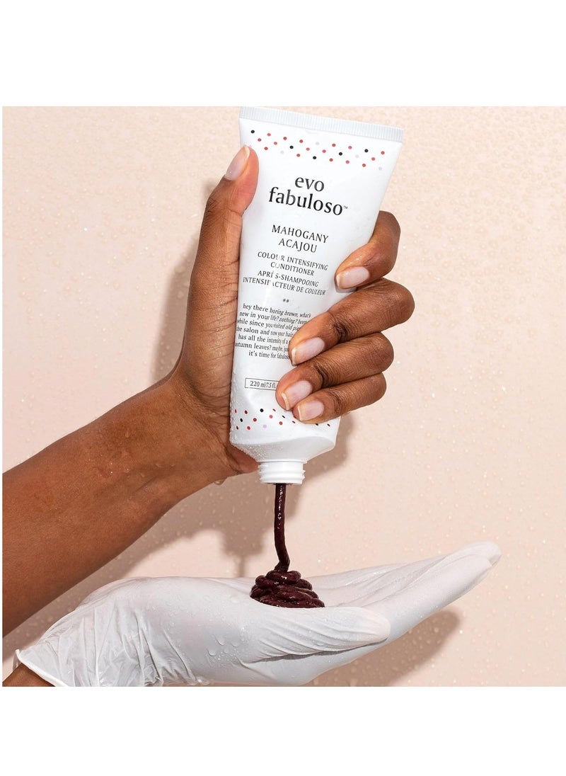 Evo Fabuloso mahogany colour boosting treatment 220ml
