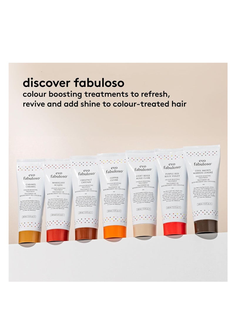 Evo Fabuloso mahogany colour boosting treatment 220ml