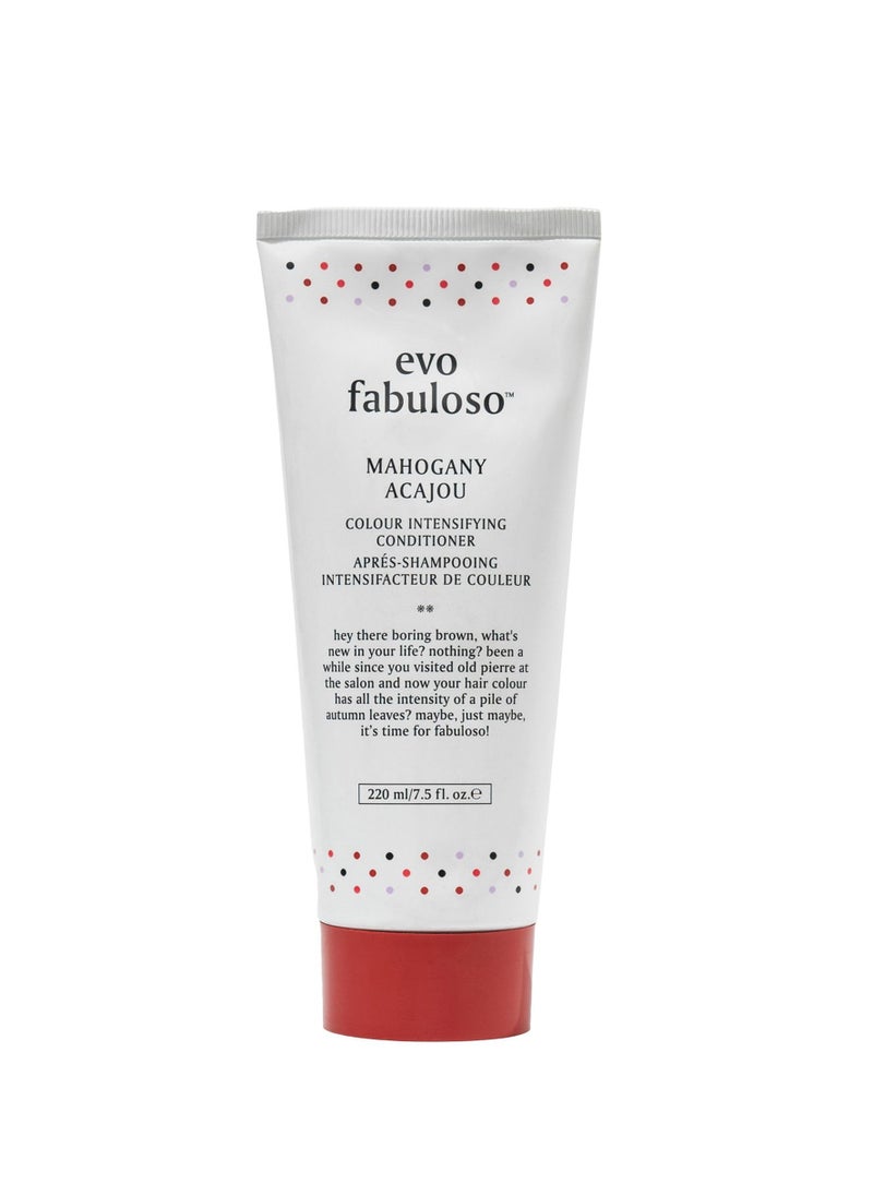 Evo Fabuloso mahogany colour boosting treatment 220ml
