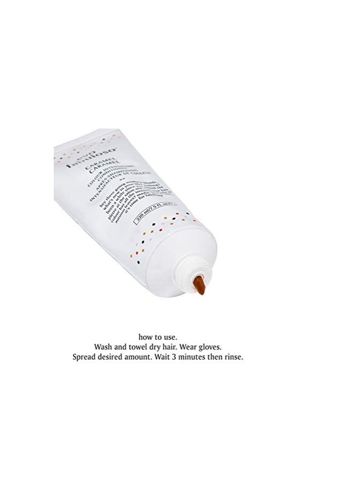 Evo Fabuloso Caramel Colour Boosting Treatment 220ml tube