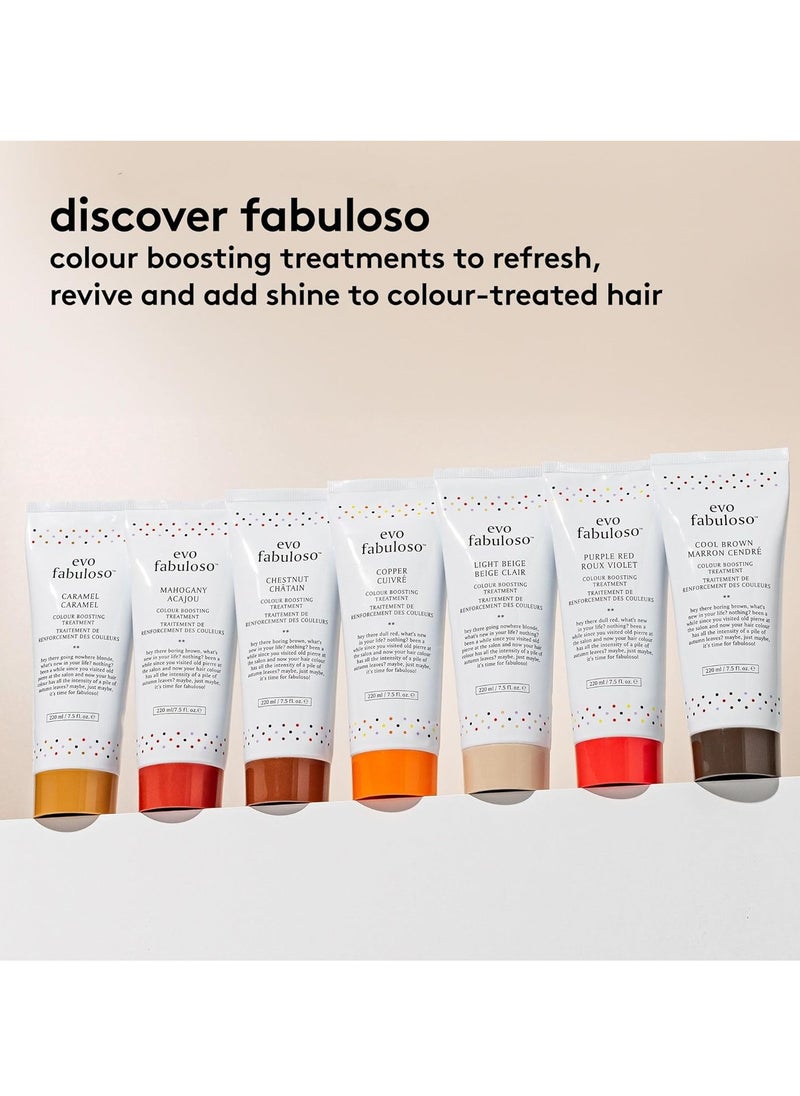 Evo Fabuloso  purple red colour boosting treatment 220ml