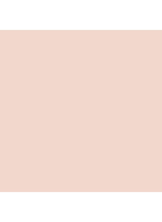 Colorstay Foundation Combi Oily Skin Buff Chamois