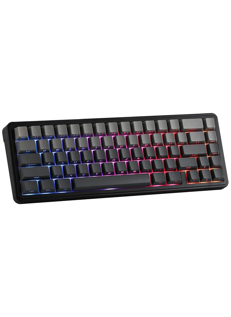 EPOMAKER x Aula F65 65% Wireless Mechanical Keyboard, Hot Swappable Gasket Custom Gaming Keyboard with Five-Layer Padding, RGB Backlit, Bluetooth/2.4GHz/USB-C (Black, Graywood V3 Switch)