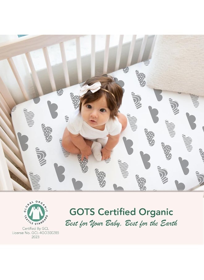 100% Organic Cotton Fitted Sheets for Standard Crib and Toddler Mattresses/Pads 28” x 52” and up to 6” Thick. Boys and Girls. Fits, Dream On Me, Lullaby, Safety 1st, Newton, and Other Brands.