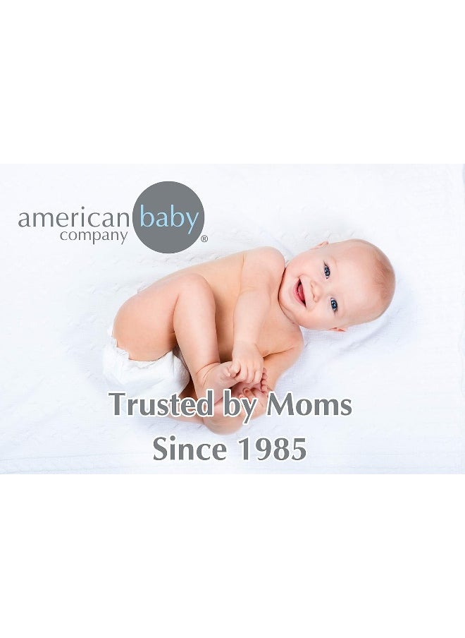 American Baby Company Heavenly Soft Chenille Fitted Crib Sheet 28