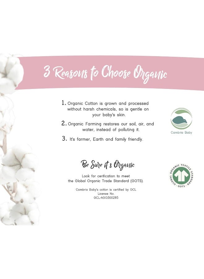 Cambria Baby 100% Organic Cotton Sheets for Pack 'n Play and Other Portable/Mini Cribs