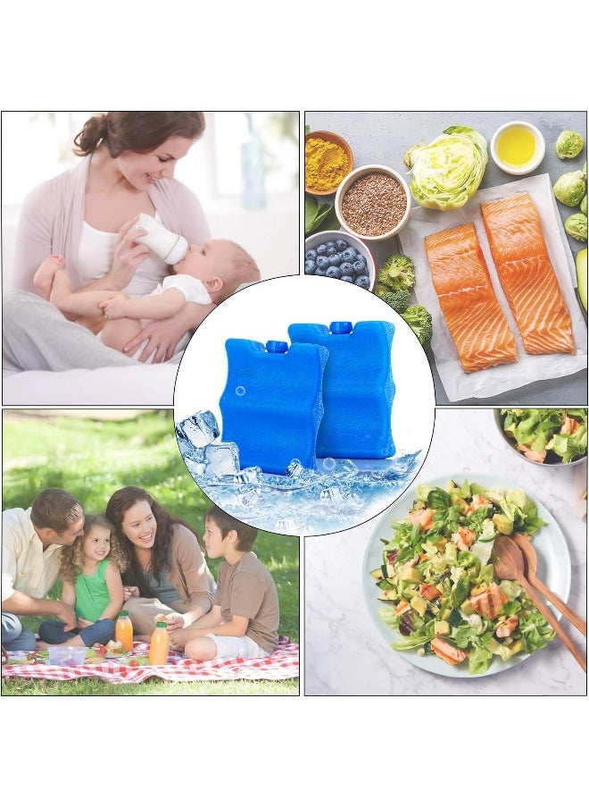 Teamoy Breastmilk Ice Pack(Pack of 2), Bottle Ice Packs for Breastmilk Storage and Breastfeeding Working Mom, Small
