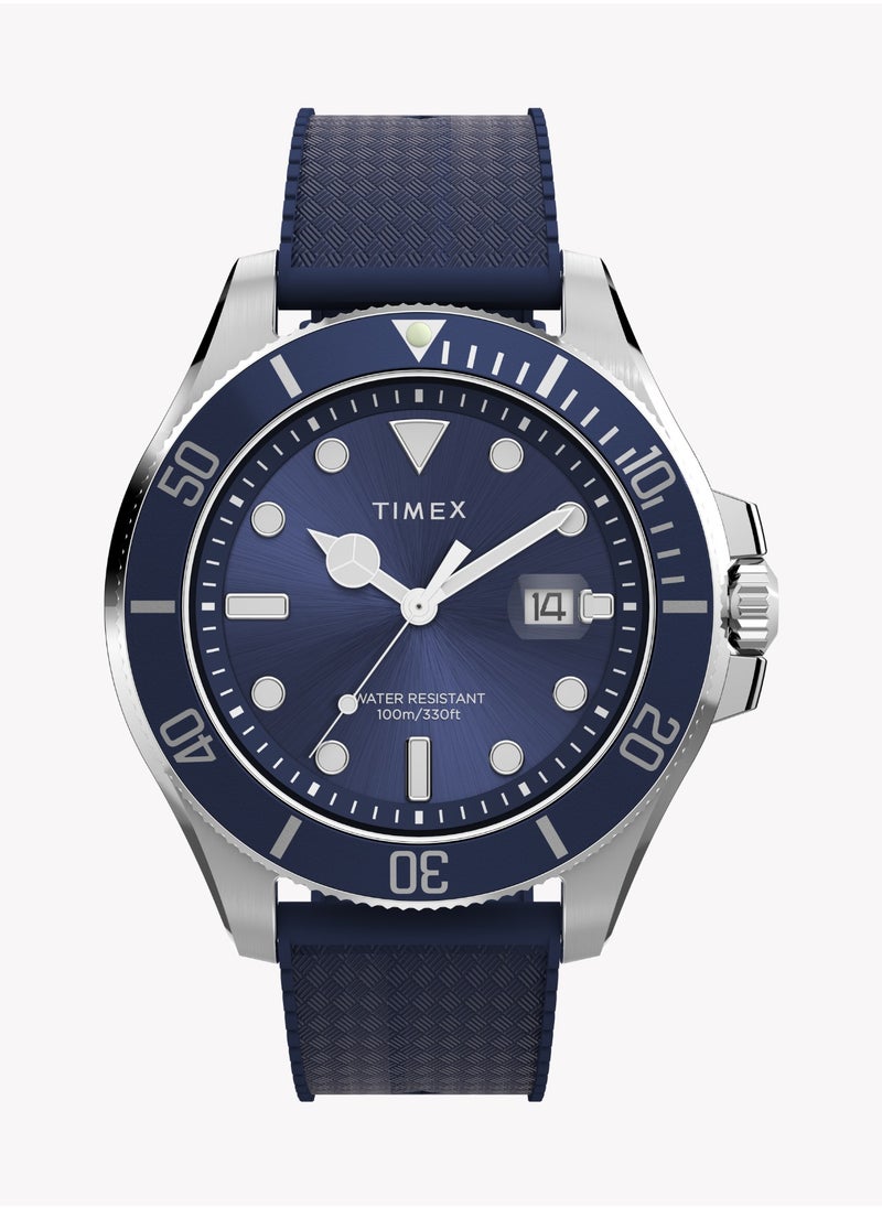 Timex Men's Silver/Blue Watch | TW2Y05000